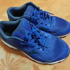 Mizuno スニーカー 25.0cm 青