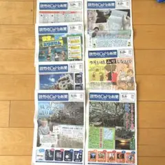 読売KODOMO新聞7￼部セット