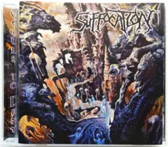 USオリジナル 美品 新同盤 SUFFOCATION Souls To Deny
