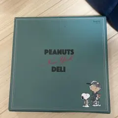 スヌーピー USJ お土産　新品未使用品　皿　陶磁器