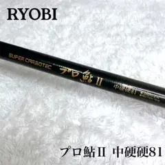 RYOBI 競技VS 狩野川スペシャル 95 鮎竿 RYOBI 競技VS 狩野川スペシャル 95 鮎竿 - メルカリ