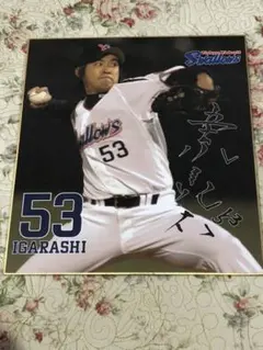 ヤクルトスワローズ　五十嵐亮太　直筆サイン入りパネル　A3 ヤクルトスワローズ 五十嵐亮太 直筆サイン入りパネル A3