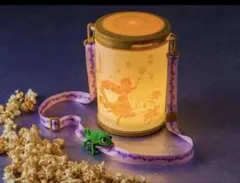 東京ディズニーリゾート　ラプンツェル　ポップコーンバケット