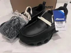 Item thumbnail for item 5d760b30-2a86-46b8-b1c3-b01568ad378b