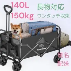 Item thumbnail for item c65225ea-2601-4101-b891-95b2fdea8a2a