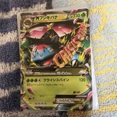 ポケモンカード フシギバナEX キラ XY - メルカリ