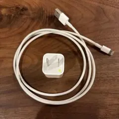 純正品 Apple iPhone Lightningライトニング ケーブル