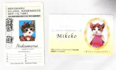 なめ猫 ニャピリチュアルカウンター 猫国際運転免許証 2枚 カードのサムネイル