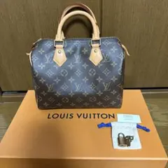 【未使用美品】ルイヴィトン　スピーディ25 ハンドバッグ　モノグラム　バッグ