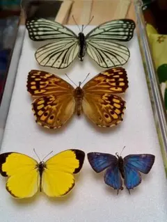 YOKOよこ様 リクエスト 2点 まとめ商品