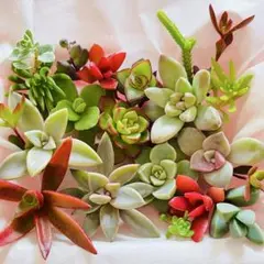 あさこ様 リクエスト 3点 まとめ商品