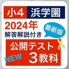 浜学園 2024年度 小3年 国語算数理科社会、最高レベル特訓テキスト一式 浜学園 小1最高レベル特訓算数 計算ドリル三冊 【公式通販】