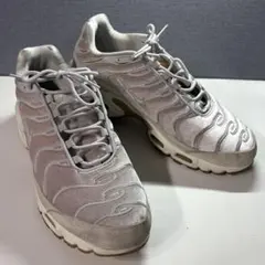 Nike Air Max Plus シルバー