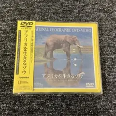 ナショナル・ジオグラフィック DVDビデオシリーズ　アフリカを生きるゾウ