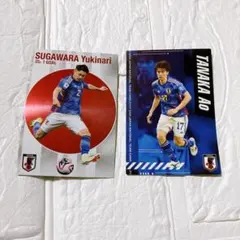 カルビー　ポテトチップス　サッカー　日本代表　2024　2枚セット　菅原　田中