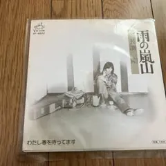 rei harakami - lust 2LP 【完全生産限定盤】 - メルカリ