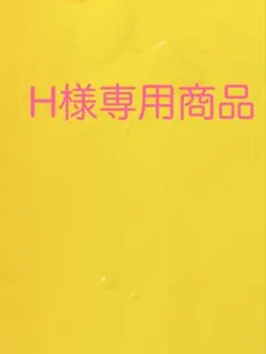 H様専用