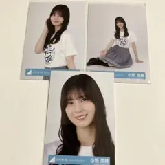 小坂菜緒 日向坂46 夏フェス ひな誕祭 ロゴTシャツ 生写真 12種コンプ 小坂菜緒 日向坂46 生写真 夏フェス ロゴTシャツ ひな誕祭 12種コンプ