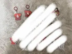 バレーボール日本代表 アクリルキーホルダー等