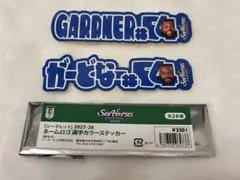 シーホース三河 バスケットボール