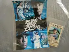 伊藤大海　ステッカー　手配書　日本ハム　ファイターズ