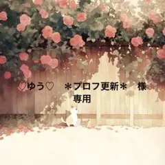 ♡ゆう♡　＊プロフ更新＊様　専用