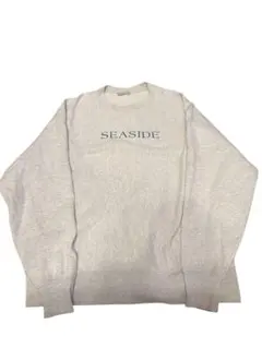 「vintage」 Chanmpion リバースウィーブ グレー L
