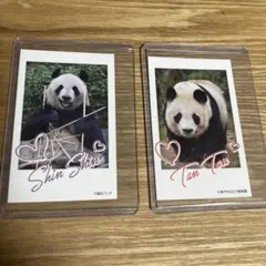 Item thumbnail for item b0e0e60e-c298-44f0-80f4-5938480226f4