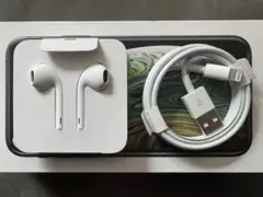 【未使用】Apple純正 イヤホン・ライトニングケーブル 2点セット
