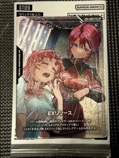 ルナマリアEXリソース　パラレル ホビーステーションシングル通販店 / EXリソース(ルナマリア＆メイリン その他