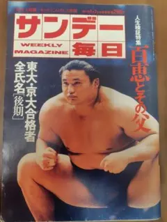 顕正新聞　平成18年 顕正新聞 平成18年 - メルカリ