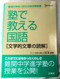 2025年最新】塾で教える国語 文学的文章の読解の人気アイテム