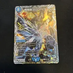 飛翔龍5000VT 銀トレジャー