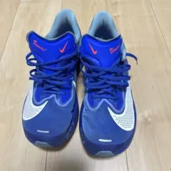 Item thumbnail for item 73b183f8-51a8-4c5f-820d-d00ef17a4589