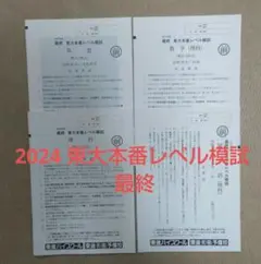 模試