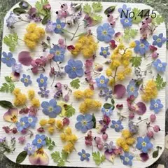 No,445 特小小花ミックス　ドライフラワー花材