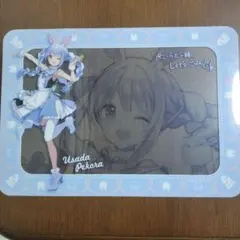 ★期間限定SALE★Usada Pekora