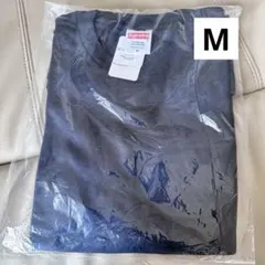 Item thumbnail for item 8ddc0726-8357-46be-bfb3-027c50f21d99