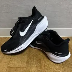 NIKE Air Zoom Pegasus 41❣️のサムネイル
