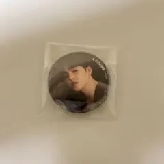 SEVENTEEN anode エスクプス 缶バッジ