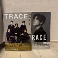 Item thumbnail for item 805c9088-8c4f-4b2a-9a41-2fd2dd1223c8