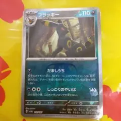 ブラッキー　マスターボール　ミラー