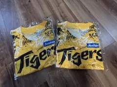 Item thumbnail for item b23d0e09-7f7f-44db-ad1b-a420c1c71ca1