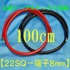 freeinvention様専用 KIV22SQ　黒100cm　圧着端子付8mm