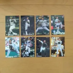 Item thumbnail for item 53fa99b1-e213-41c2-8066-f62ed9b7937a