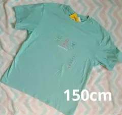 ポケモン Tシャツ 150cm ミントグリーン