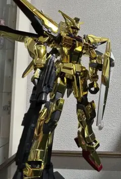 HG アカツキガンダム オオワシ装備 ゴールドコーティングのサムネイル