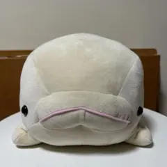 八景島シーパラダイス シロイルカ ぬいぐるみ