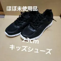 Item thumbnail for item f51c4324-6283-4cde-98e9-2f4a88c8884f