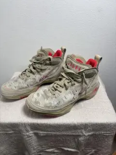 AIR JORDAN XXXVII PRM PF